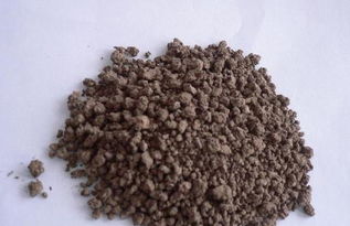 氮磷鉀肥料科學施用全解析 助您增產增收，谷物加工產品品質更優