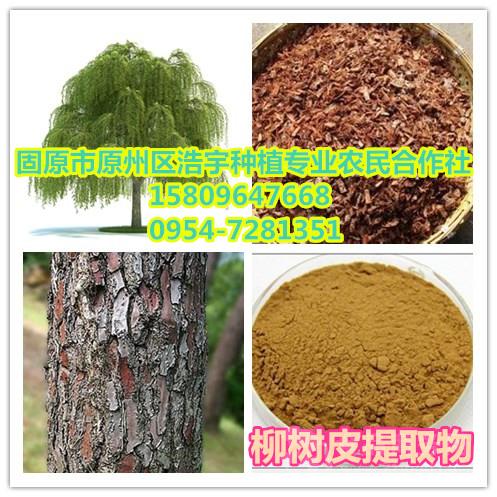 柳樹皮提取物及衍生產品報價與谷類作物應用解析