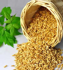 燕麥綠豆黑米 高纖食品與加工谷物產品對生育力的潛在影響探討